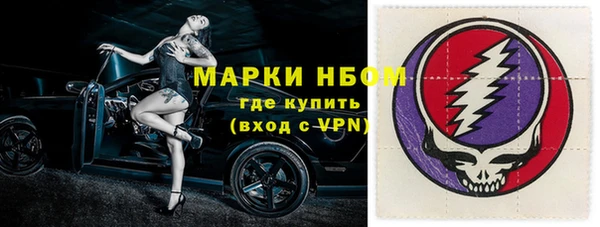 стафф Нефтекумск