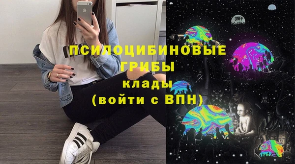 стафф Нефтекумск