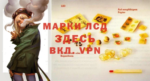 стафф Нефтекумск