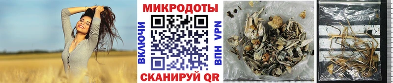 Галлюциногенные грибы ЛСД  как найти наркотики  Ужур 
